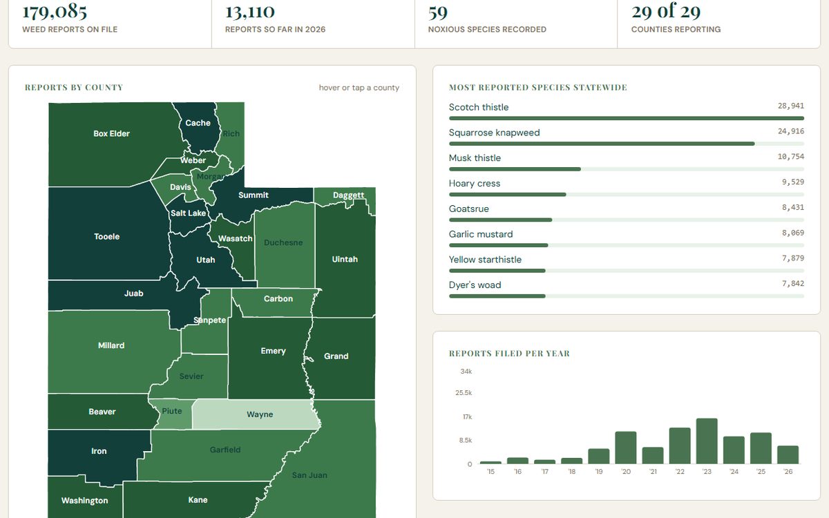Utah Weed Supervisors snapshot: 29 counties shaded by report volume, top species and reports per year