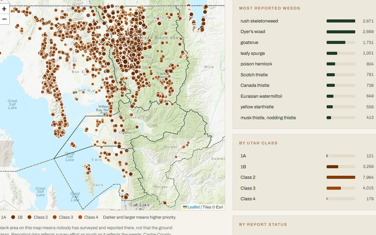 Northern Utah CWMA weed map: 15,535 reports across six counties with class and status breakdowns